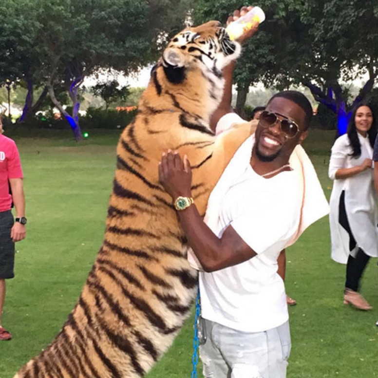 Photos from Celebrities Gone Wild: Stars Posing With Exotic Animals - E!  Online
