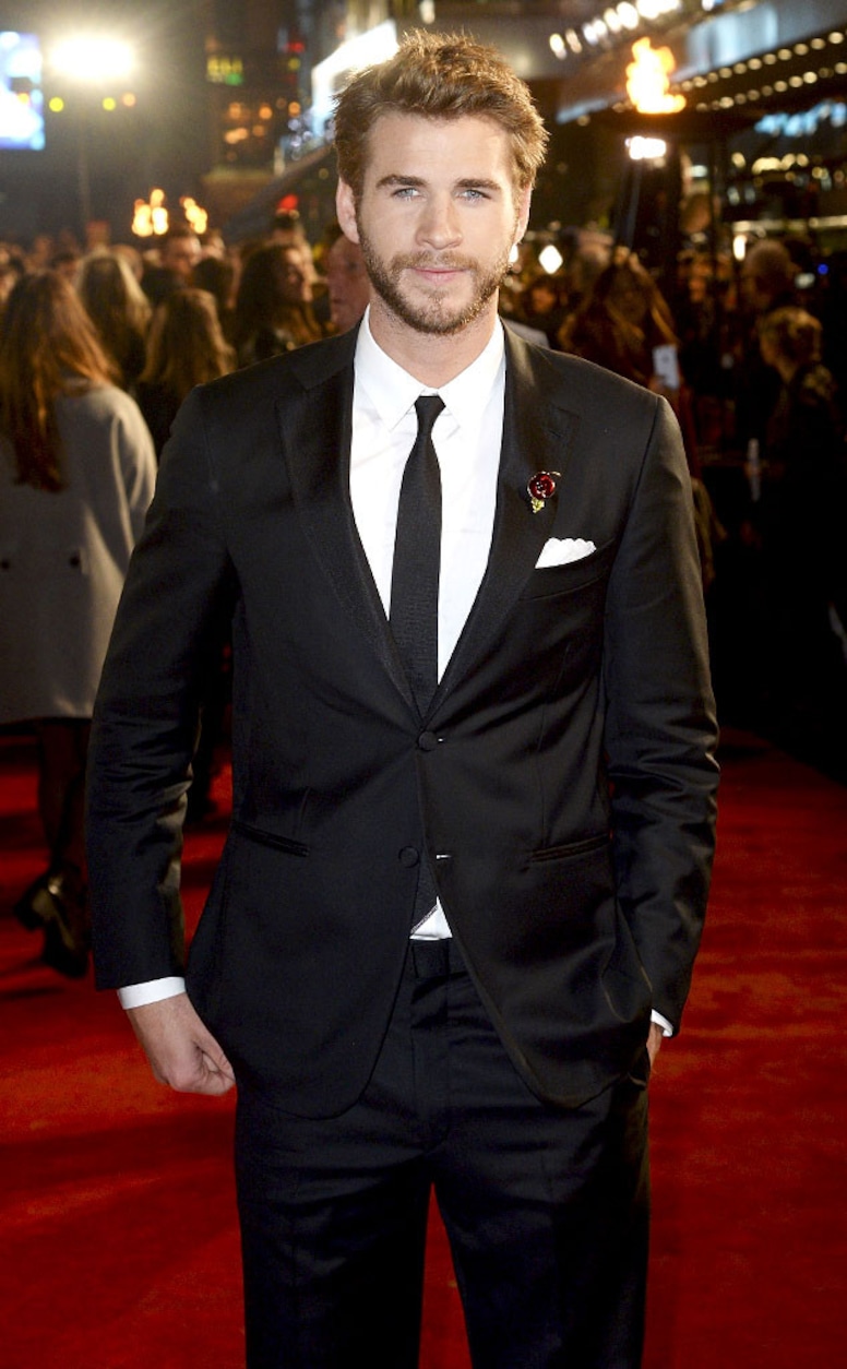 Liam Hemsworth, Hunger Games