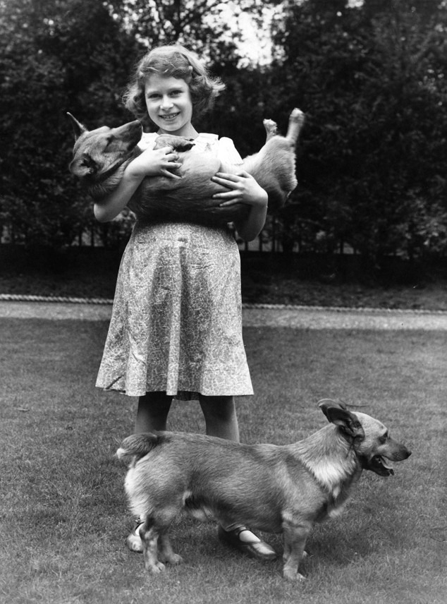 A Historical Retrospective Of Queen Elizabeths Corgi