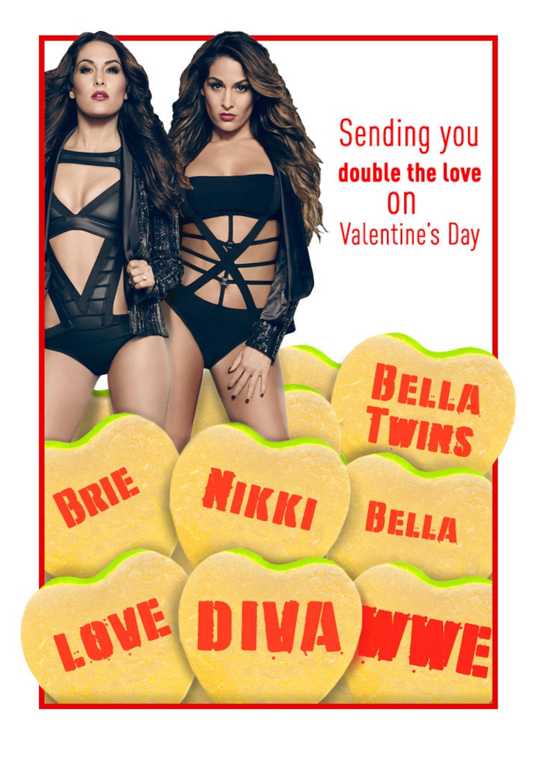 Total Divas Valentines