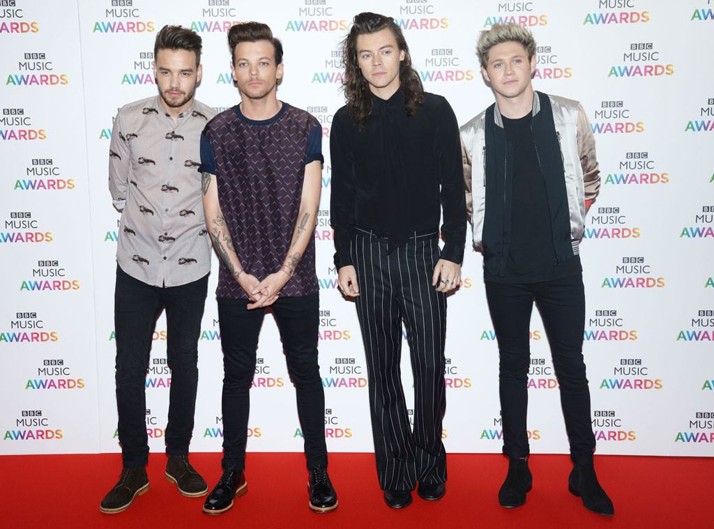 Liam Payne, Louis Tomlinson, Harry Styles, Niall Horan, One Direction, 2015