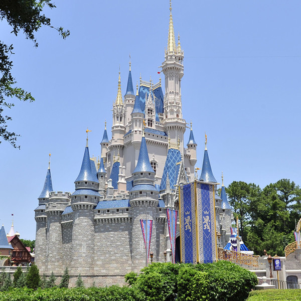 Disney World Parks Castle Light Up Tumbler with Straw Fireworks