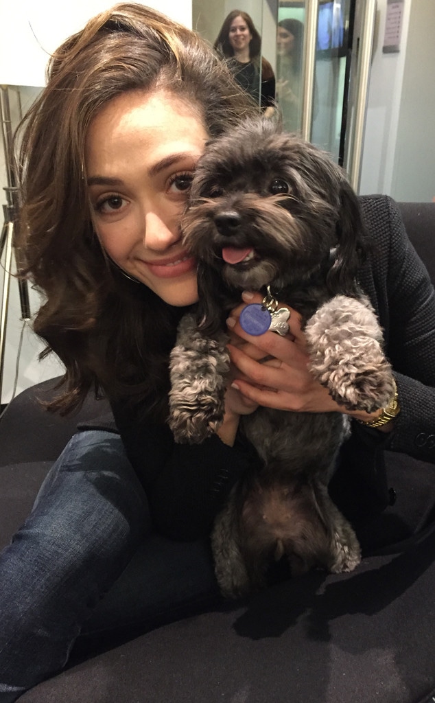 Emmy Rossum Has 6 Reasons Why You Need to Adopt Pets - E! Online