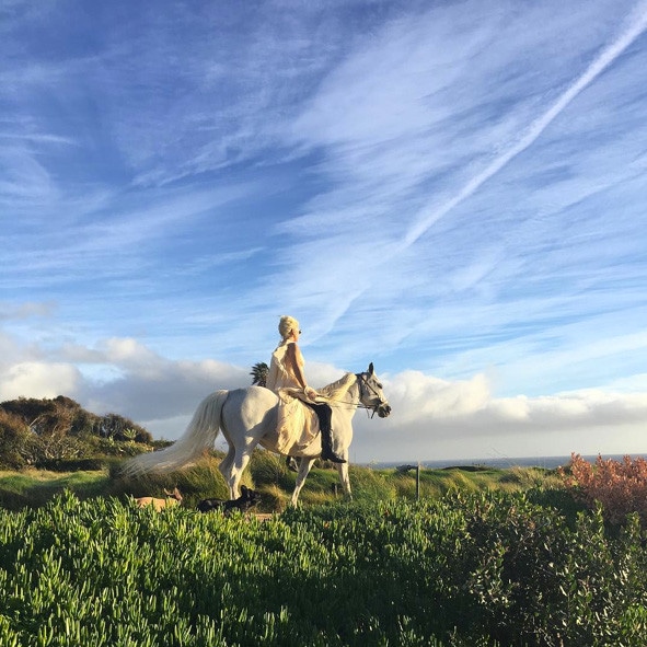Lady Gaga, Horse, Instagram