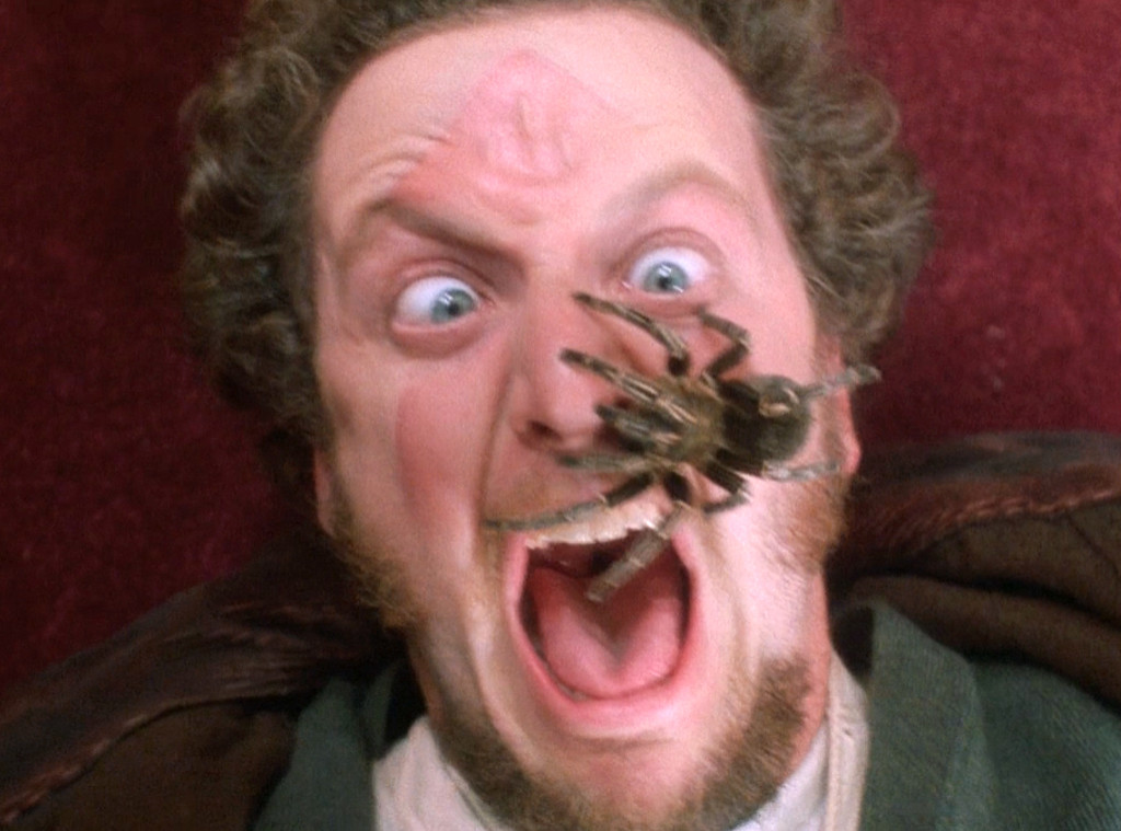 Home Alone, Daniel Stern