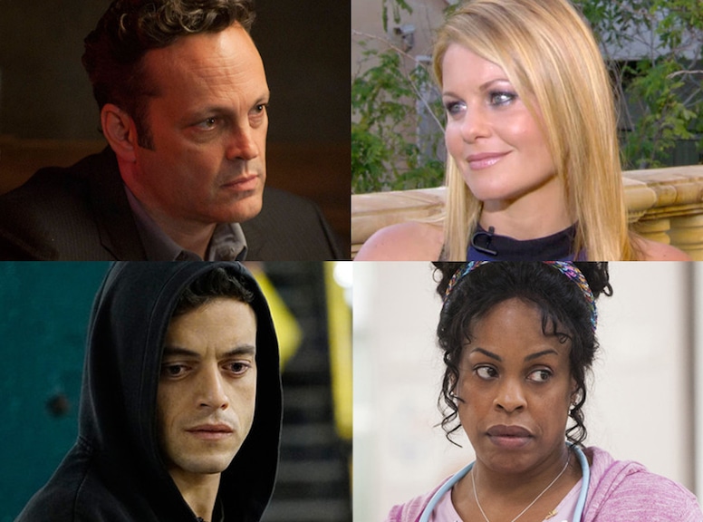 Mr. Robot, Fuller House, True Detective, Getting On