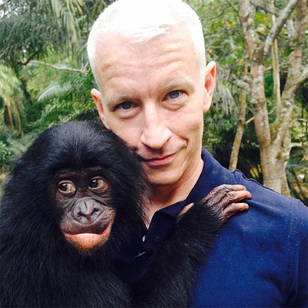 Anderson Cooper from Celebrities Gone Wild: Stars Posing With Exotic ...