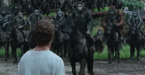planet of the apes strong together scene planet of the apes strong together scene