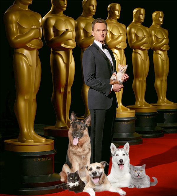 Style Collective, Thing we want to see at Oscars, Adopt-A-Thon