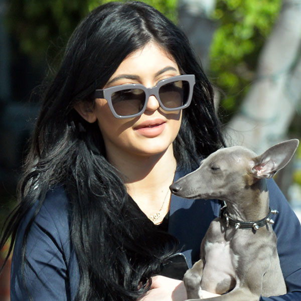 Watch: Kylie Makes a Music Video Dedicated to Her Dogs - E! Online - UK