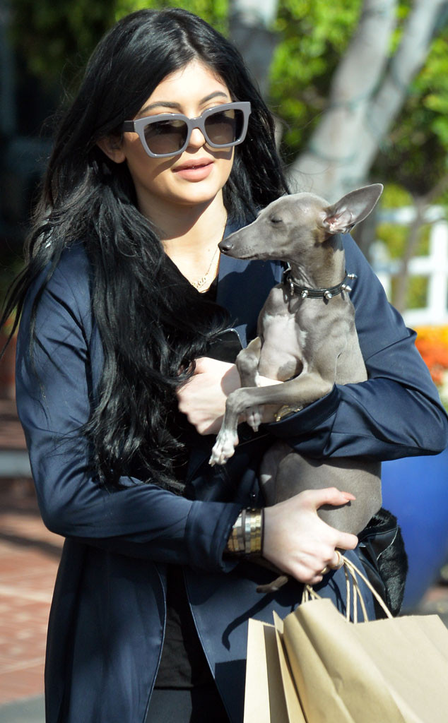 Kylie Jenner Makes a Mini Music Video Dedicated to Her Dogs—Watch Now