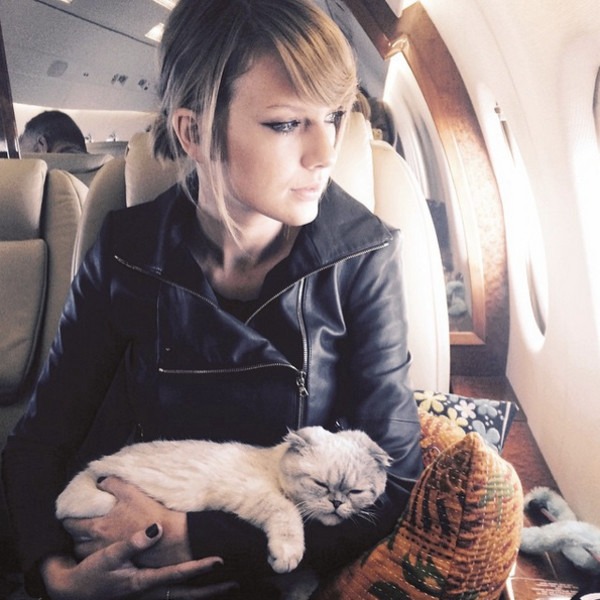 Taylor Swift, cat