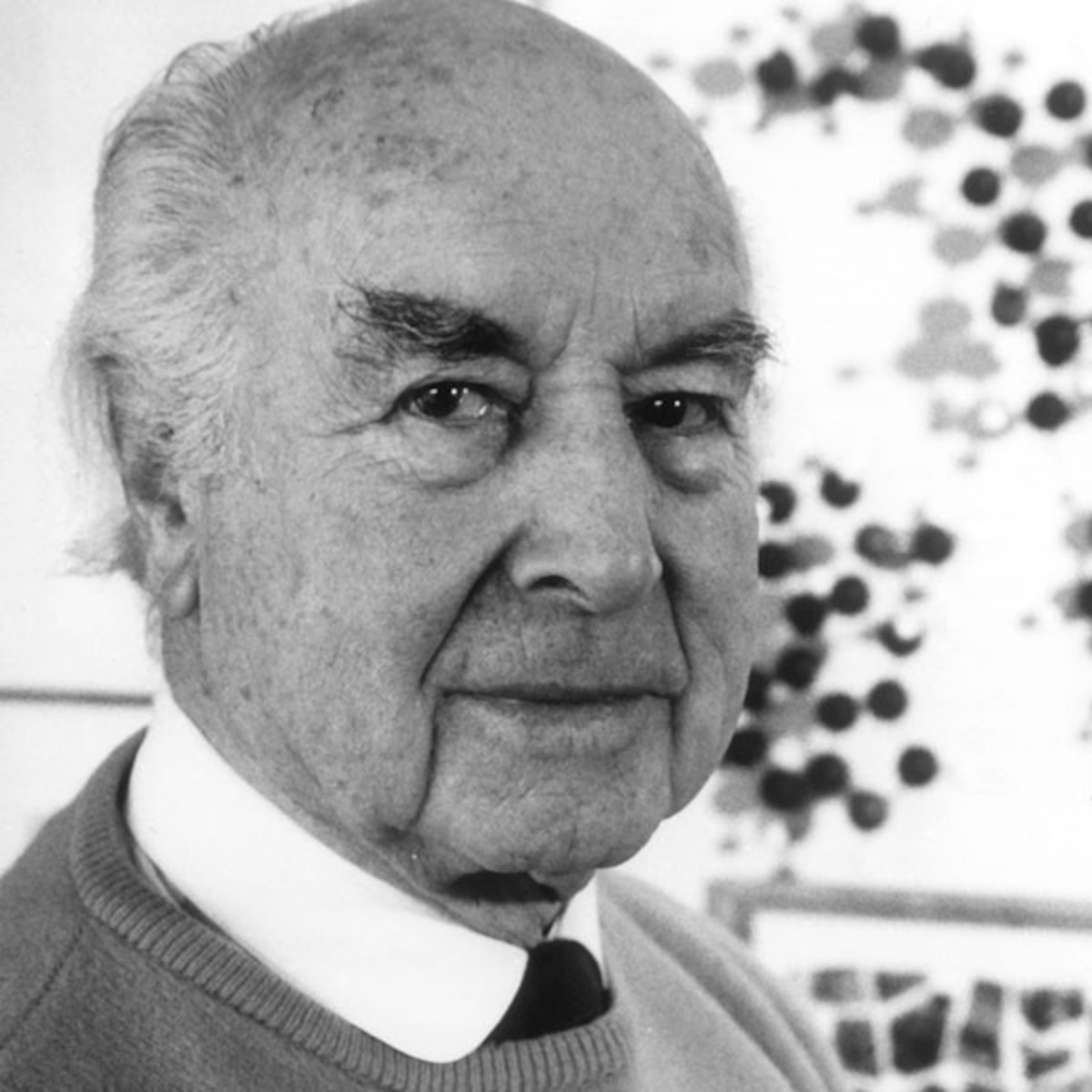 Albert Hofmann Father Of Lsd Dies At 102 E Online Albert Hofmann Father Of Lsd Dies At 102 E Online
