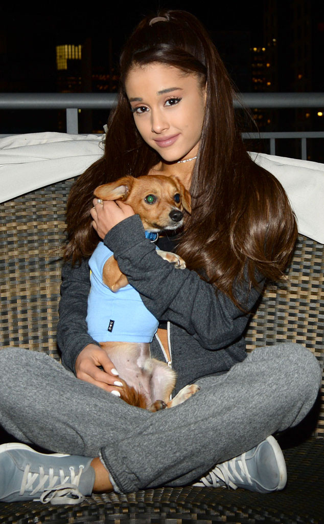 UPDATE: Ariana Grande's Dogs ''Almost Murdered'' by Ferry Officials?! - E!  Online