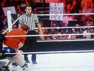 Photos From The Best Wwe Signs E Online Uk