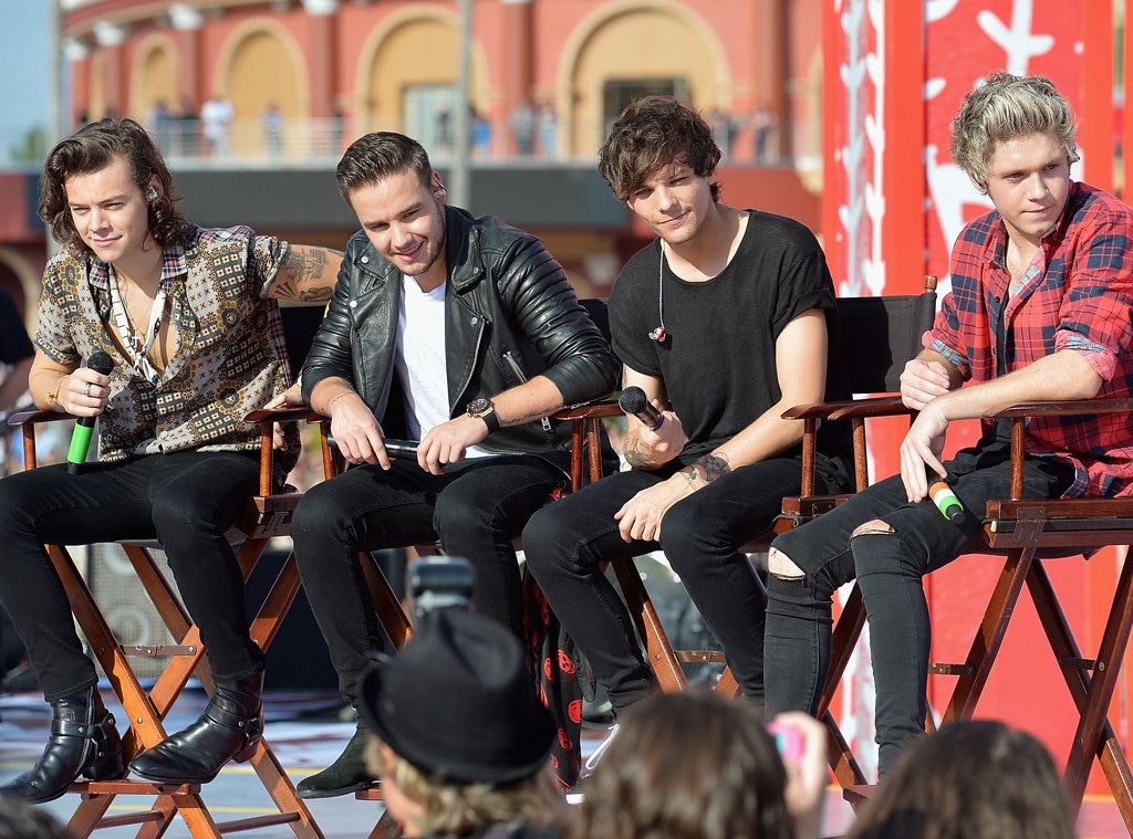 New One Direction, Harry Styles, Niall Horan, Liam Payne, Louis Tomlinson