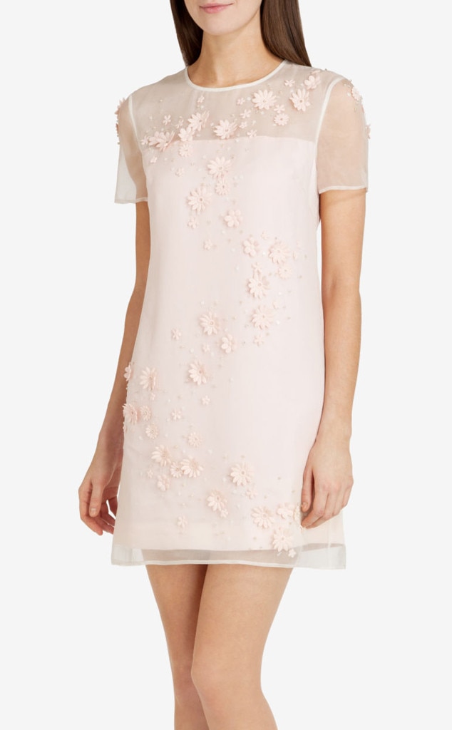 ted baker frocks