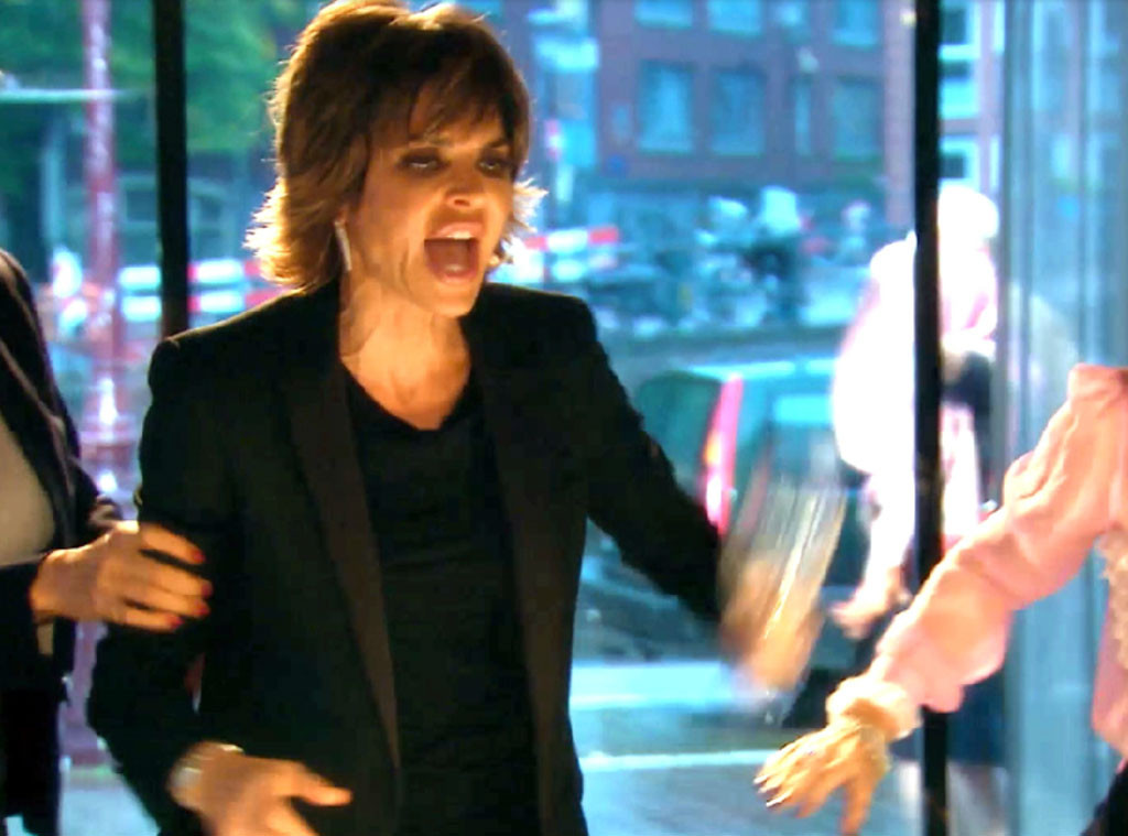 Real Housewives of Beverly Hills, Lisa Rinna, fights