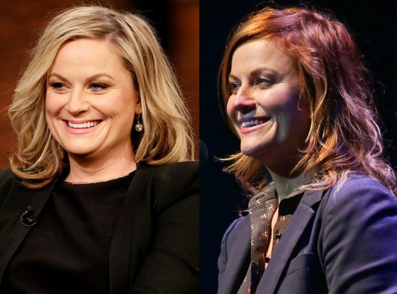 Amy Poehler Dyes Her Hair Red Plus Did Rihanna Go Redhead Too