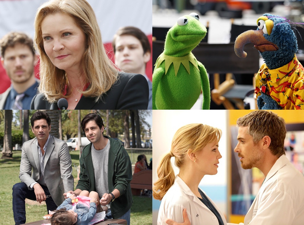 The Family, Muppets, Grandfathered, Heartbreaker