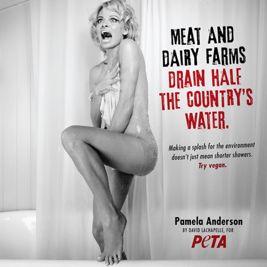 ЛС голая моделька Pam Anderson Goes Naked for Psycho PETA Ad
