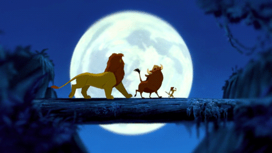 Animales