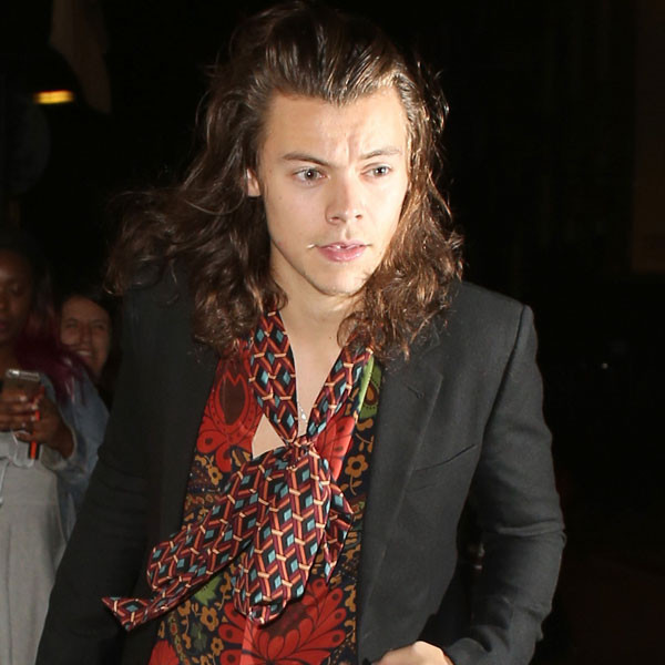 Watch Harry Styles Call Out a Fan Who Stole His Girlfriend