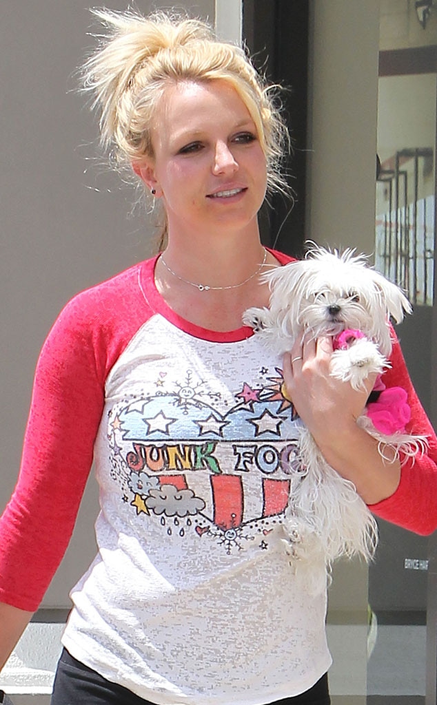 Britney Spears, Dog