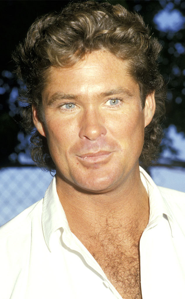 David Hasselhoff from Celebs With Mullets | E! News