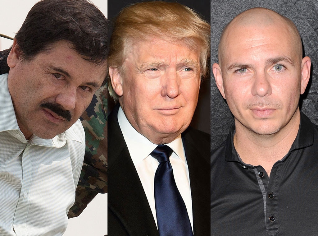 Pitbull, El Chapo, Donald Trump 