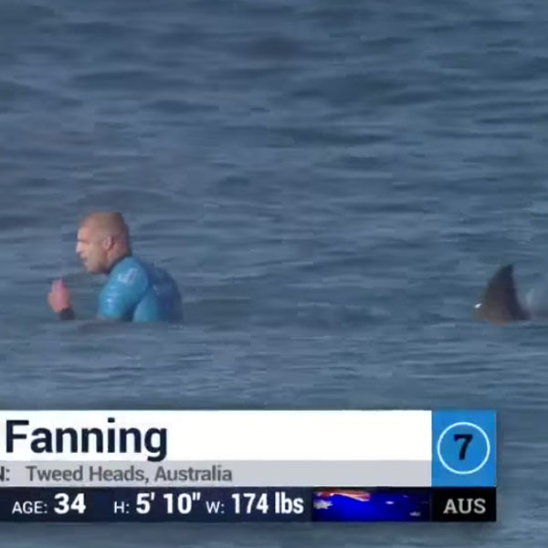 Нападение акул в турции. Мик Фаннинг акула.