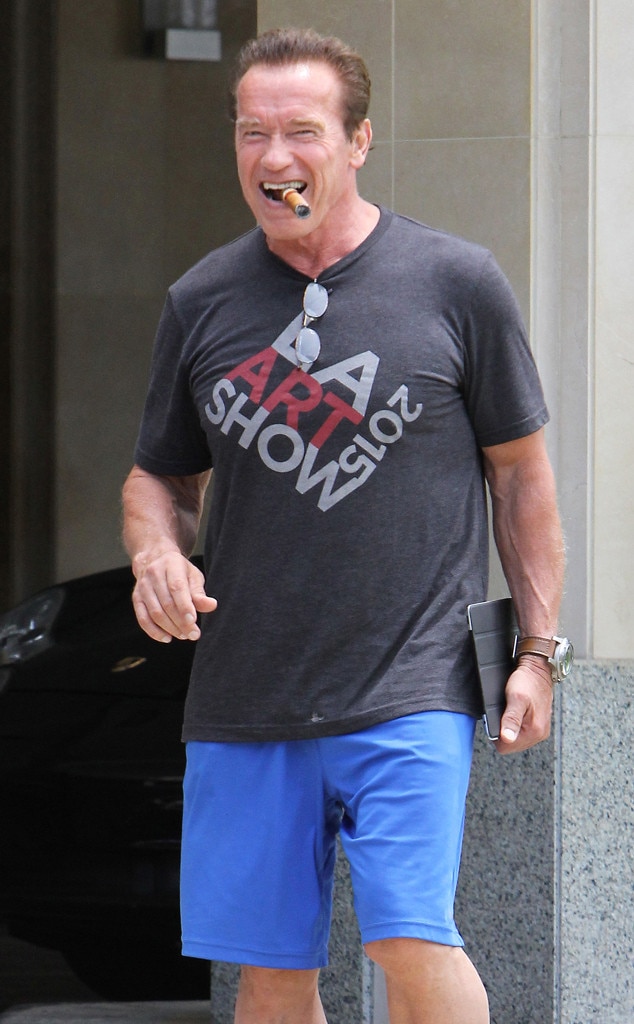 The Office Arnold Schwarzenegger Edition The Big Show - vrogue.co