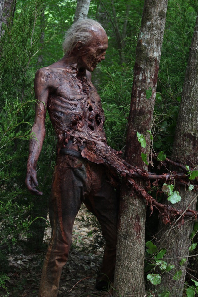 The Walking Dead
