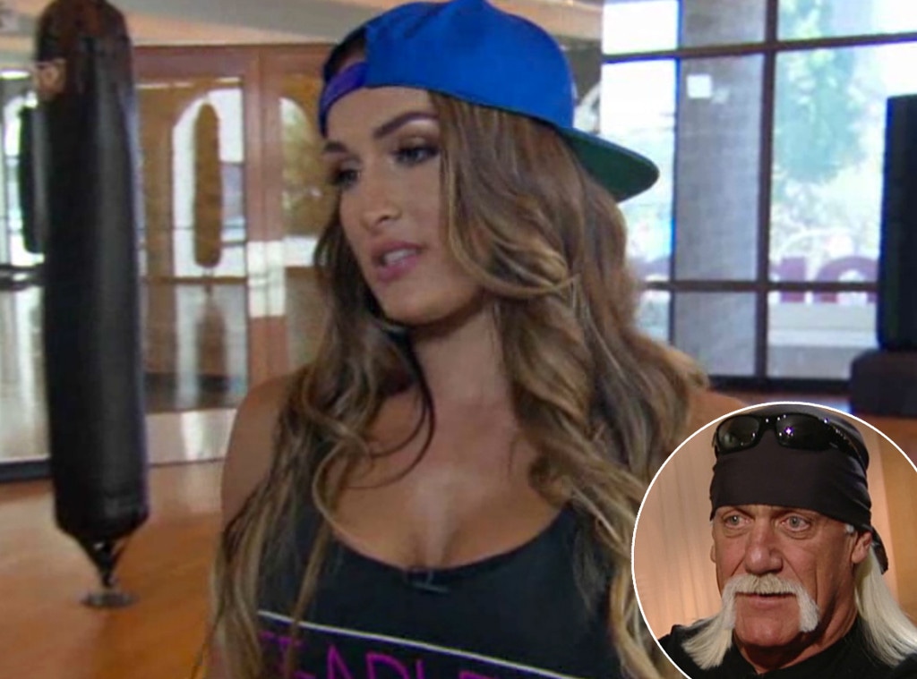 1024px x 759px - Nikki Bella Praises WWE for Its Diversity Amid Hulk Hogan ...