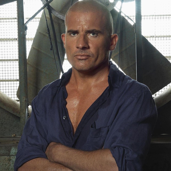 Dominic Purcell net worth