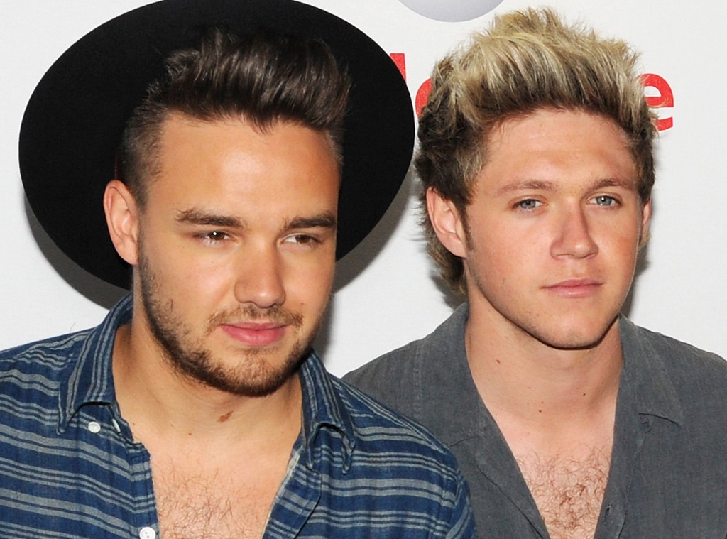 One Direction Fans Think Niall Horan & Liam Payne Look Just Like Gordon ...