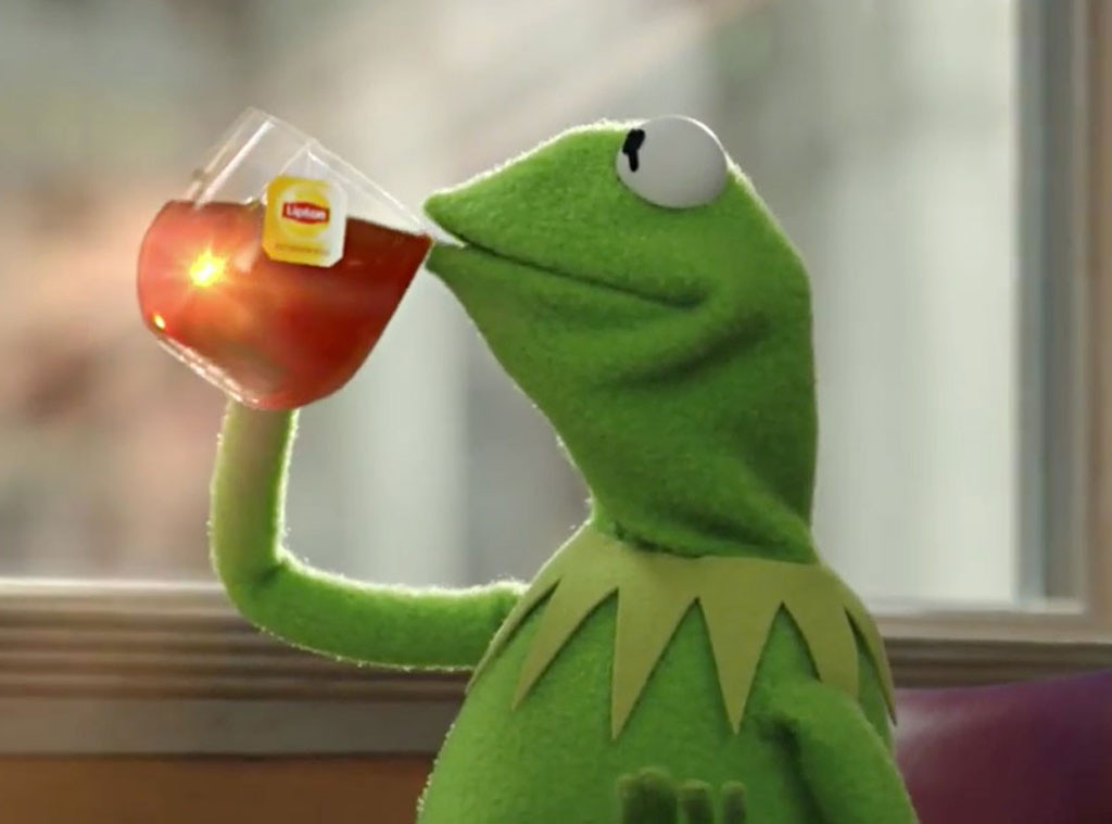 Good Morning America Just Called Kermit the Frog 'Tea Lizard'