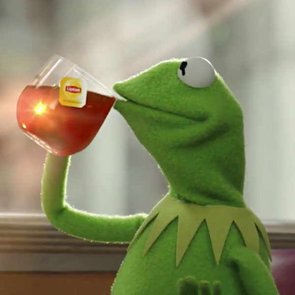 Good Morning America Just Called Kermit the Frog 'Tea Lizard' - E! Online -  AU