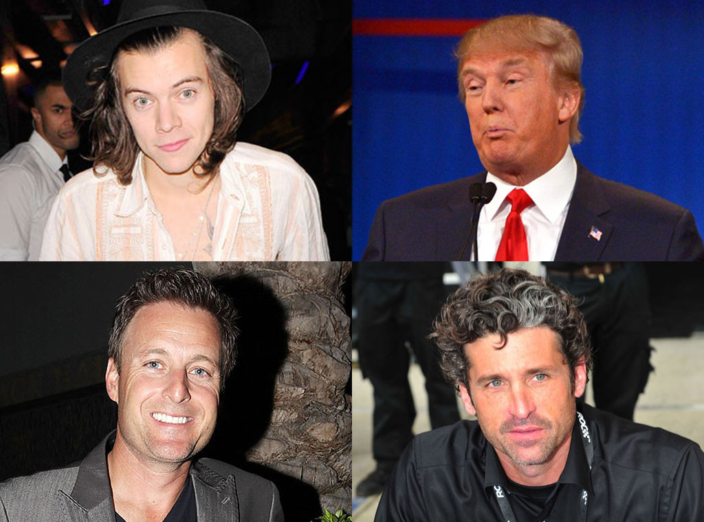Harry Styles, Donald Trump, Chris Harrison, Patrick Dempsey