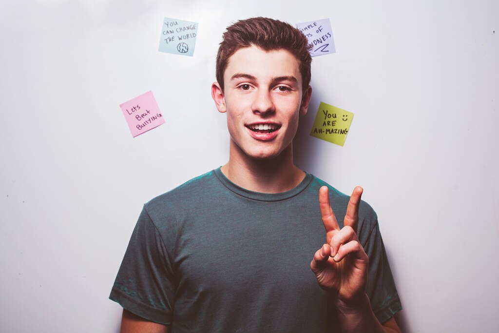 shawn mendes joggers