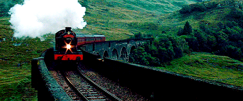 15 Ways to Celebrate Back to Hogwarts Day in Style | E! News