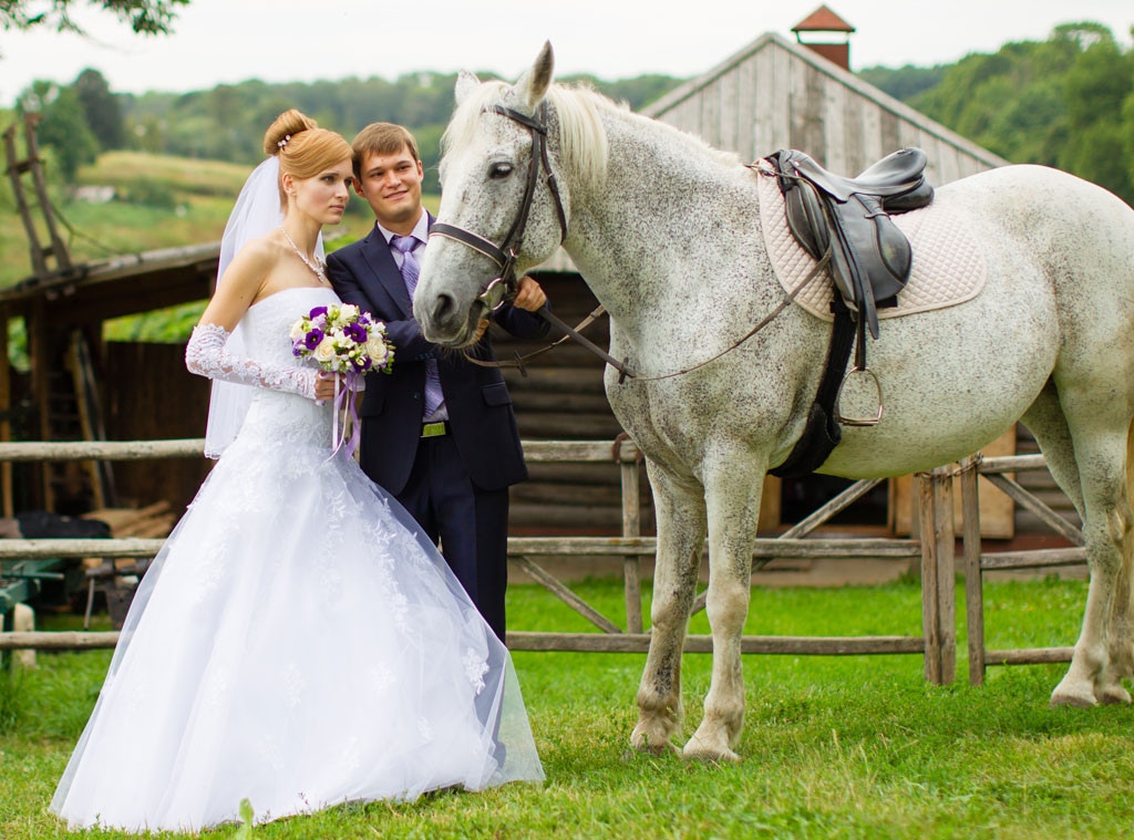 Married Couple, Wedding, Horse