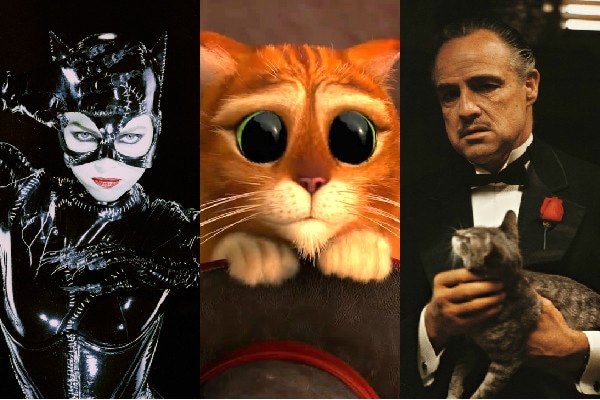 Cats in films