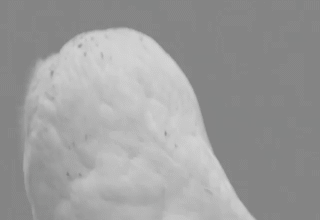 shock, reaccion, gif