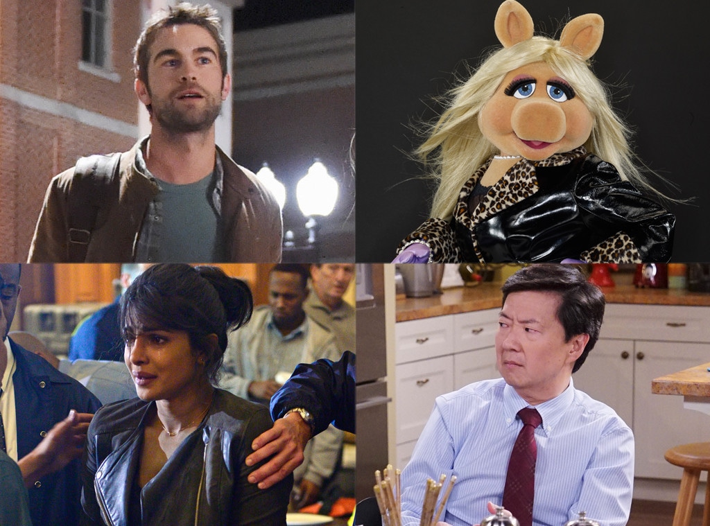 Blood and Oil, The Muppets, Quantico, Dr. Ken