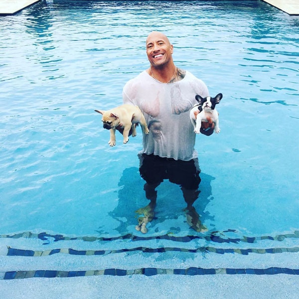 The Rock, Puppies, Dogs