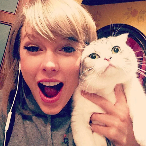 Taylor Swift Has Finally Reunited With Her Cat E Online