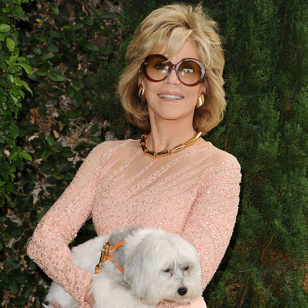 Jane Fonda Películas Y Programas De Televisión Las 10 suegras más insoportables de la ficción (+ Videos) - E! Online  Latino - MX