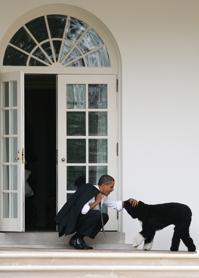 Una historia de las mascotas presidenciales que vivieron en la Casa Blanca