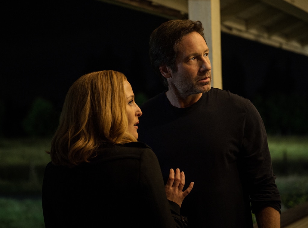 The X-Files, Gillian Anderson, David Duchovny
